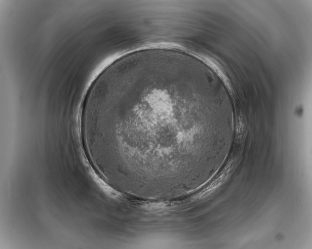 X0000099411054200805091215