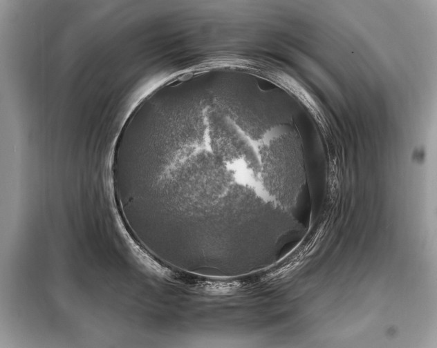 X0000099411055200805091215