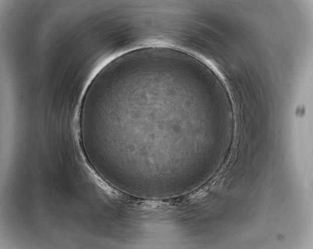 X0000099411056200805091215