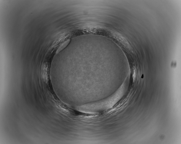 X0000099411060200805091214