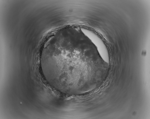 X0000099411063200805091214