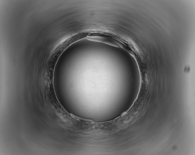 X0000099411064200805091214