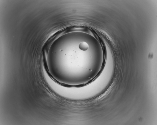 X0000099411065200805091214