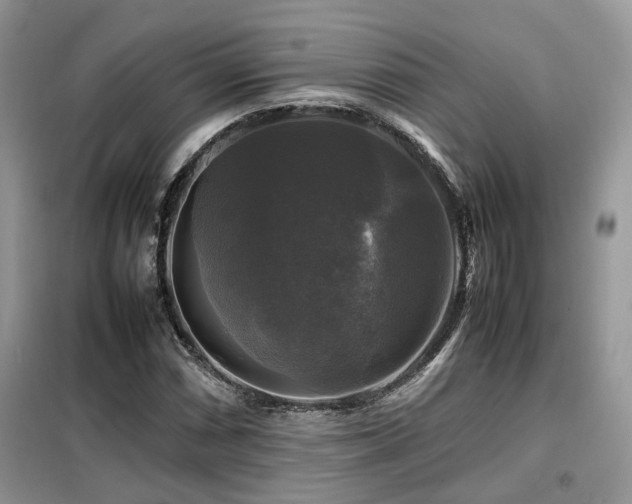 X0000099411066200805091214