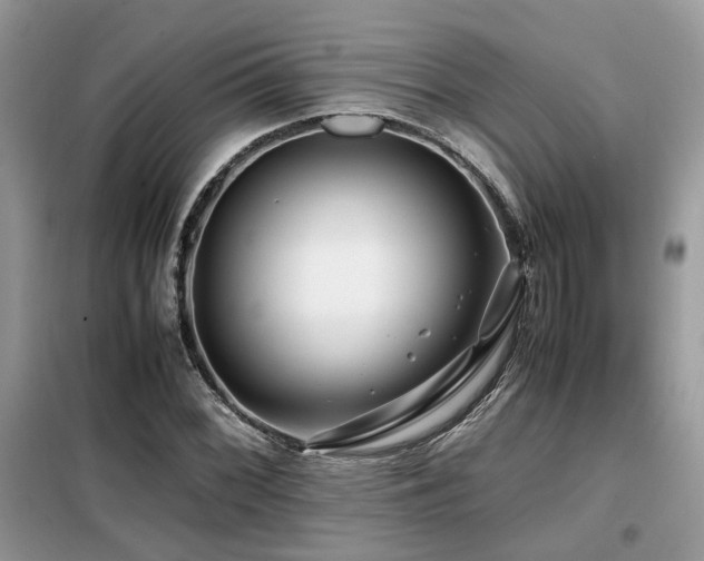 X0000099411068200805091214