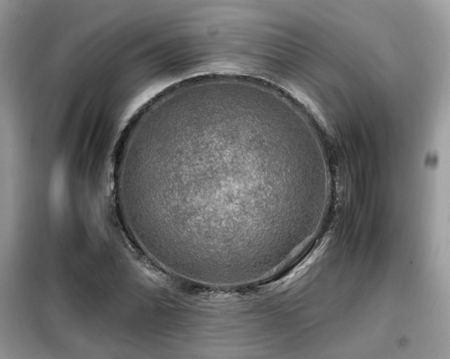 X0000099411070200805091214