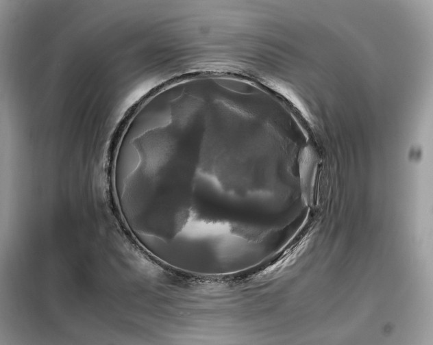 X0000099411071200805091214