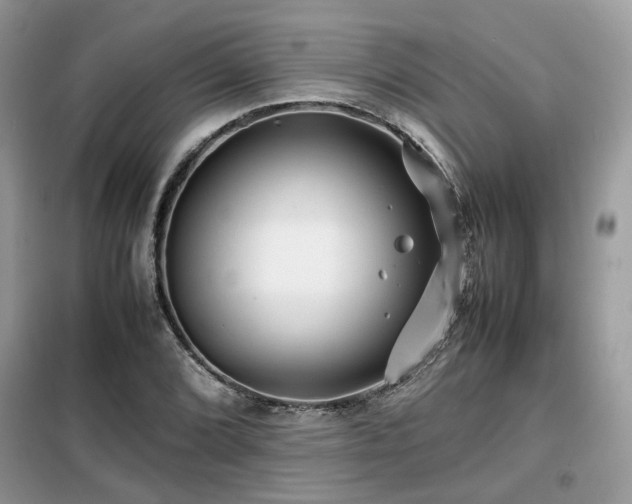 X0000099411072200805091214