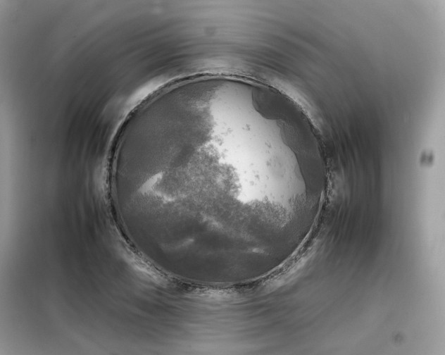 X0000099411074200805091214