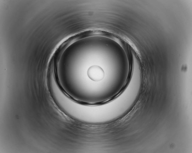 X0000099411076200805091214