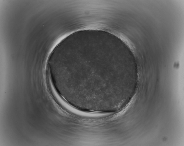 X0000099411077200805091214
