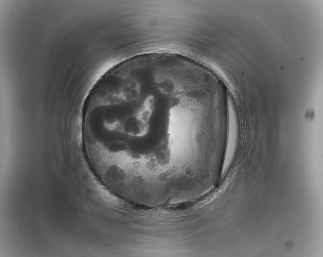 X0000099411079200805091214
