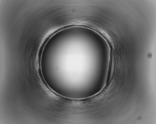 X0000099411080200805091214