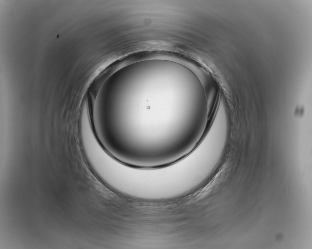 X0000099411081200805091214
