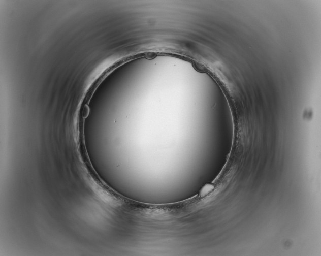 X0000099411082200805091214