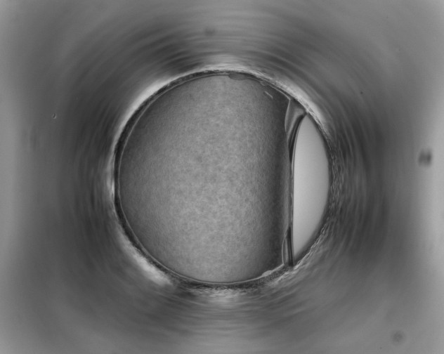 X0000099411084200805091214