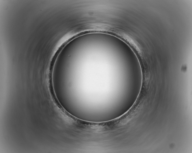X0000099411085200805091214