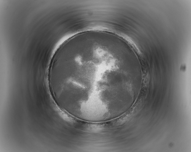 X0000099411086200805091214
