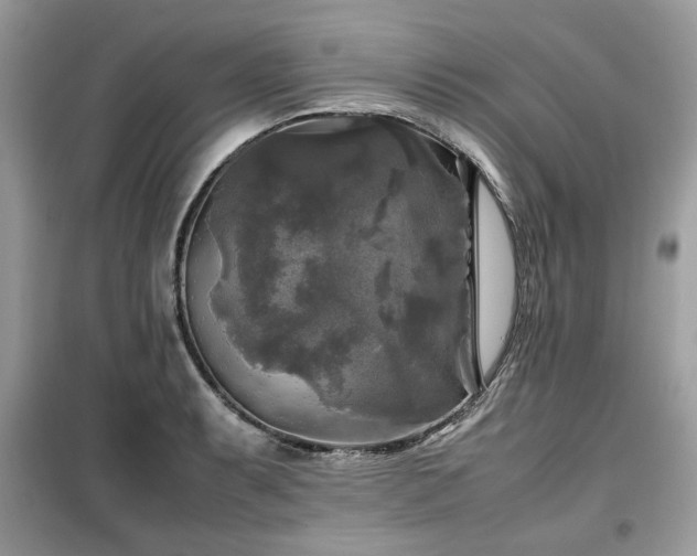 X0000099411087200805091214
