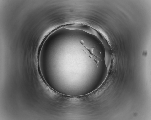 X0000099411088200805091214