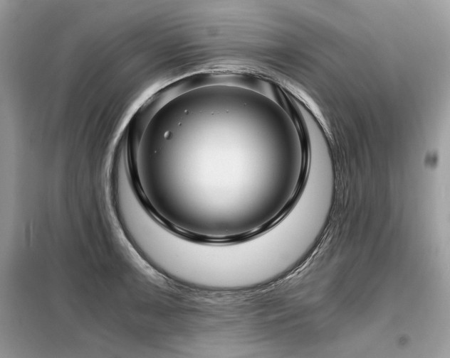 X0000099411091200805091213