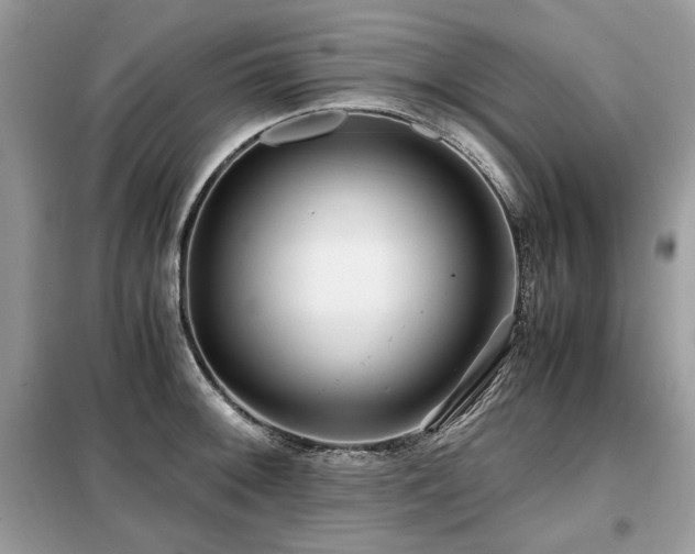 X0000099411092200805091213