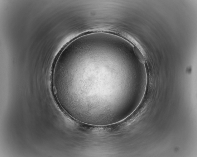 X0000099411093200805091213
