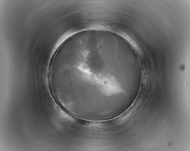 X0000099411094200805091213
