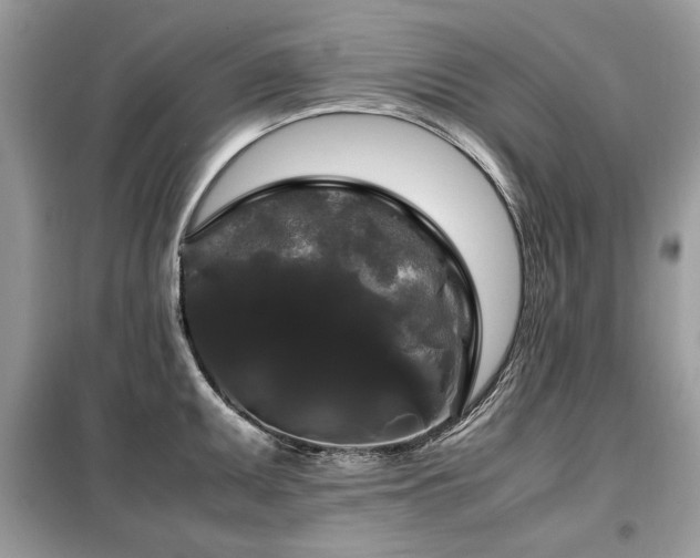X0000099411095200805091213