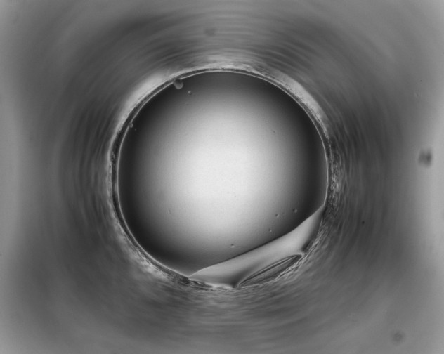 X0000099411096200805091213