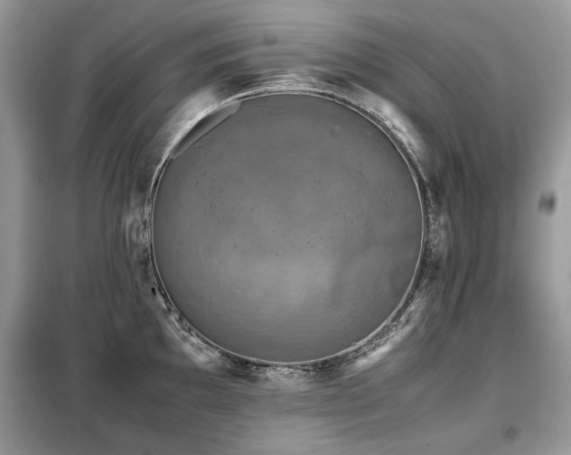 X0000099411097200805091213