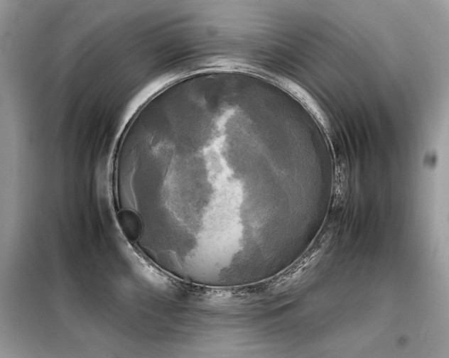 X0000099411098200805091213