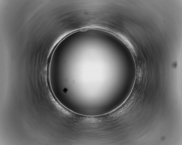 X0000099411100200805091213