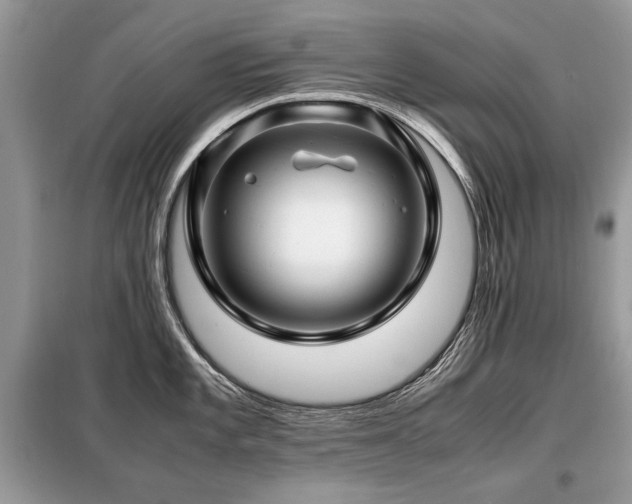 X0000099411101200805091213