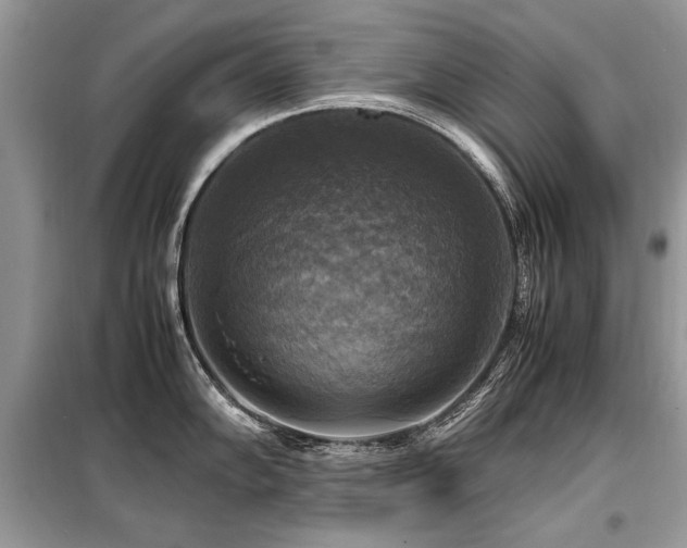 X0000099411102200805091213