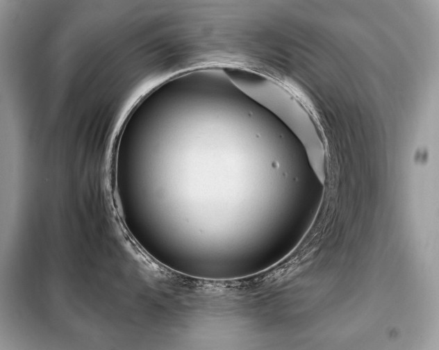 X0000099411104200805091213