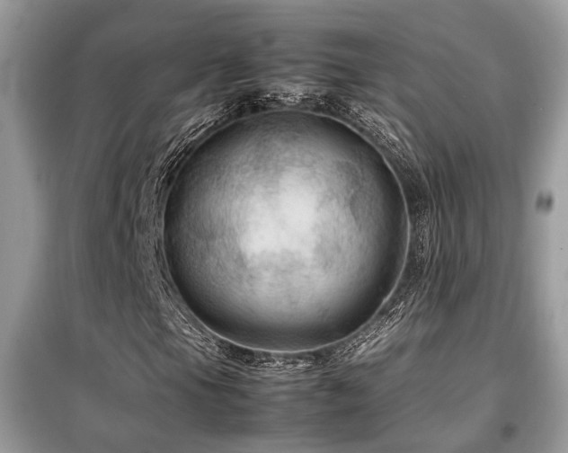 X0000099411105200805091213