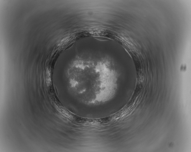 X0000099411106200805091213