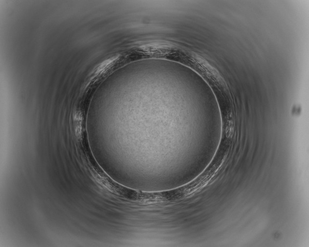 X0000099411108200805091213