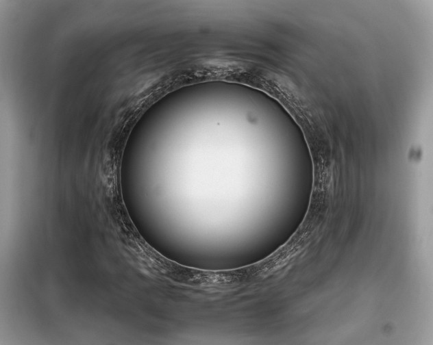 X0000099411109200805091213