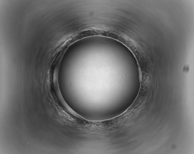X0000099411110200805091213