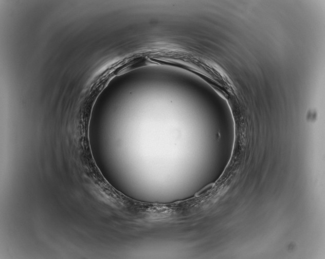 X0000099411112200805091213