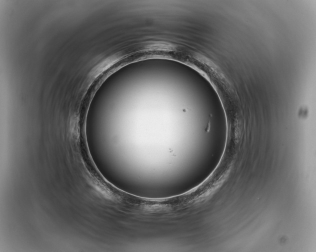 X0000099411113200805091213
