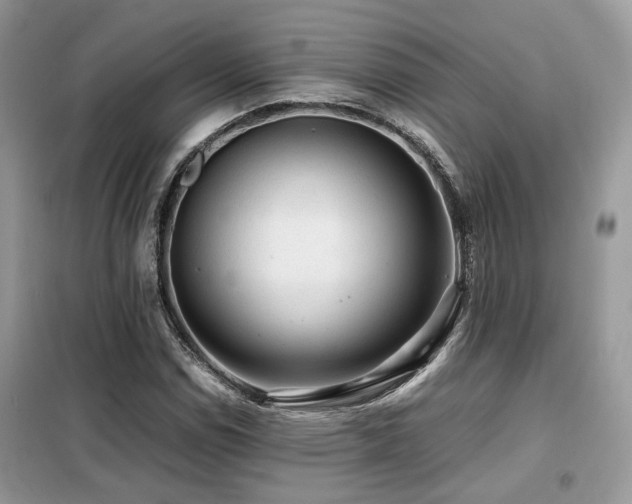 X0000099411114200805091213