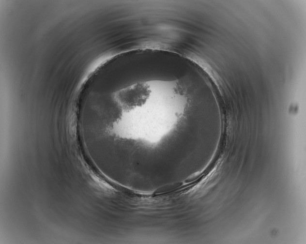 X0000099411115200805091213