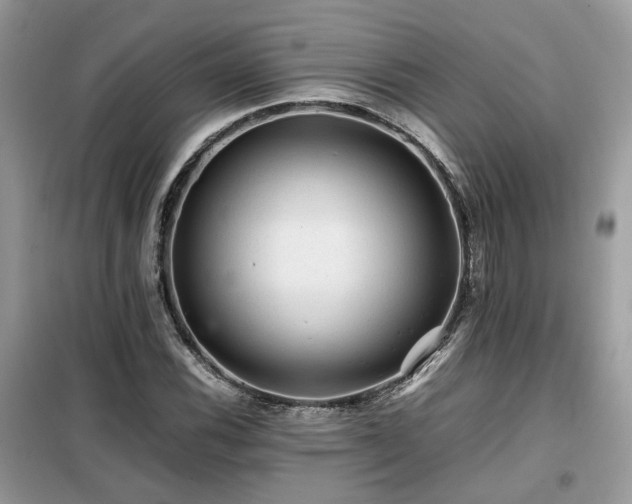 X0000099411116200805091213