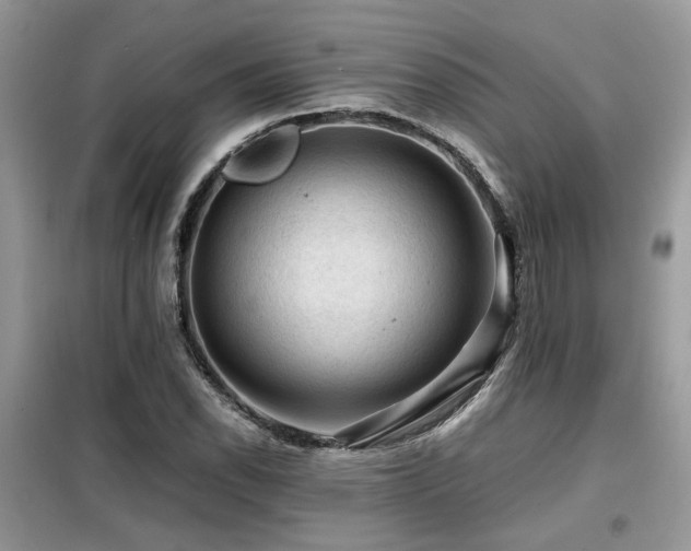 X0000099411118200805091213