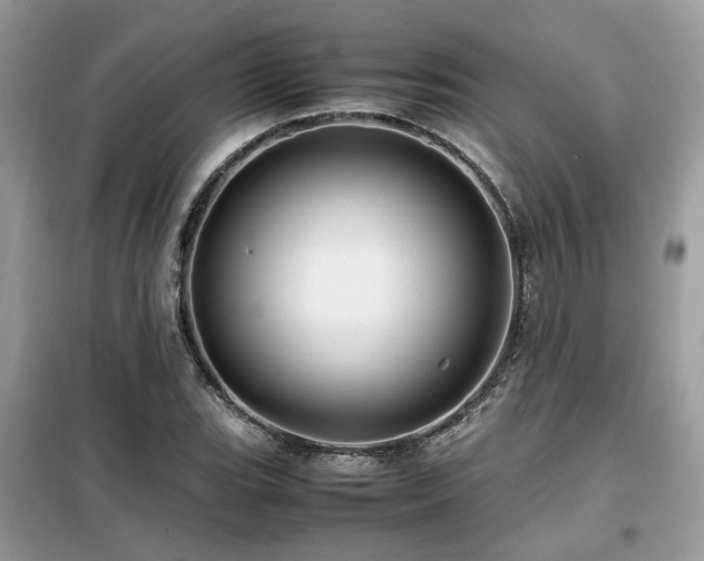 X0000099411119200805091213