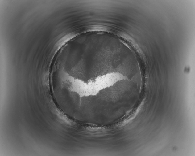X0000099411121200805091213