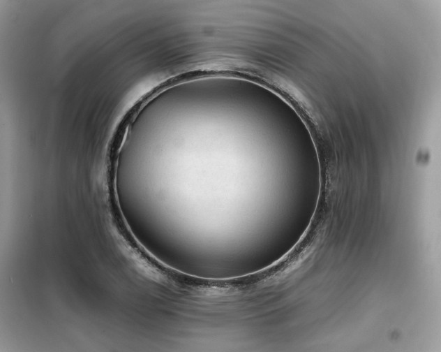 X0000099411122200805091213